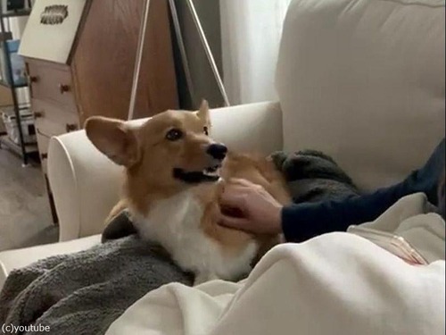 �����祳���礷�Ƥۤ�����������05