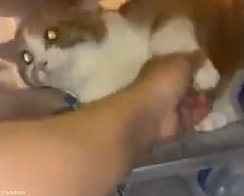 ��¢�ˤ�������ǭ02