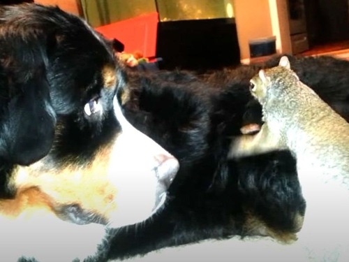 ꥹΤ˥ʥåĤ򱣤ȤƤƺǤ븤֤!