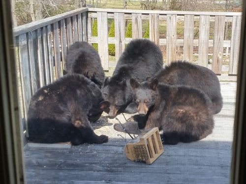 Ļ�Τ������Ȣ���֤��Ƥ����Ĥ��02