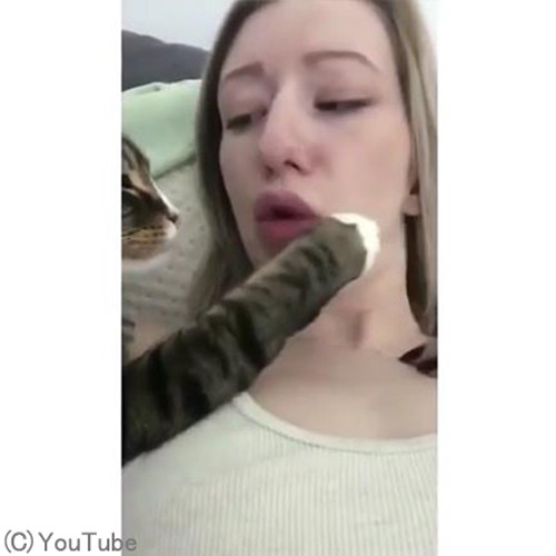 猫がキスしてくる02
