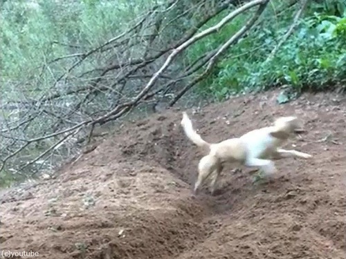 �Ȥ�ͷ�Ӥ����ʸ�03