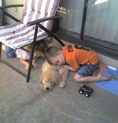 犬がやって来た時の子供のリアクション01