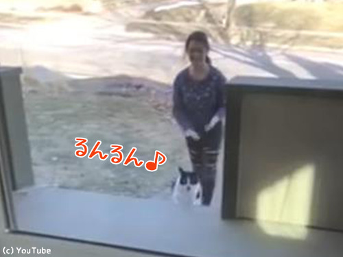 ǭ������˼���00