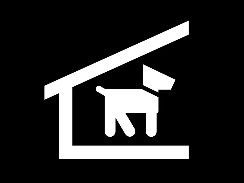 手術後の愛犬と添い寝をして 目が覚めたら起きていたこと とある飼い主のエピソード らばq 手術後の愛犬と添い寝をして 目が覚めたら起きていたこと とある飼い主のエピソード らばq