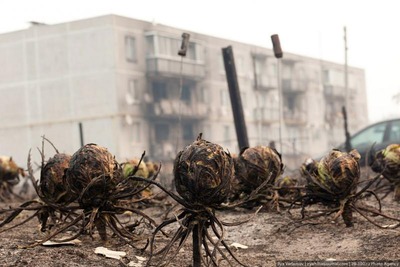 �⥹����02