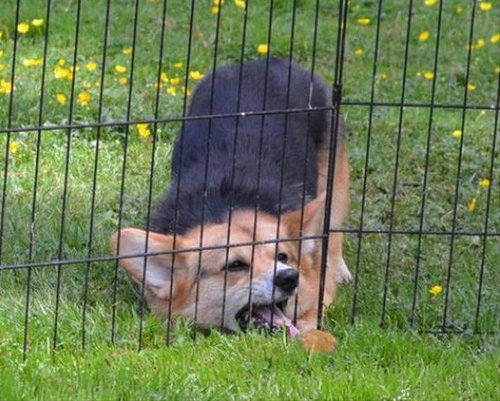 �֤��̡̤ġ�16