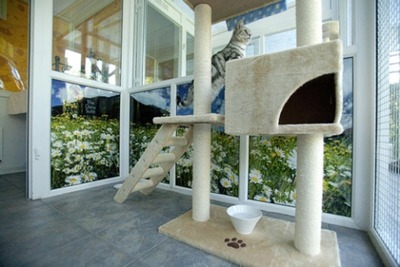 猫の高級ホテル05