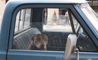 �����ɻ�07