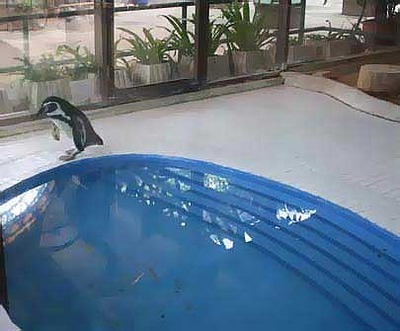 タイの動物園02