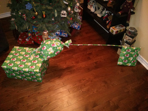 謎のプレゼント01