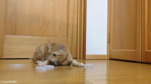 ǭ�����륭���ѡ�04