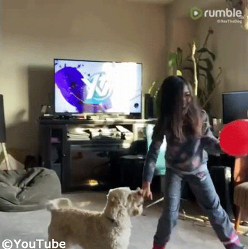 �Х롼��ͷ�Ӥ�ڤ���Ҥɤ�&�������04