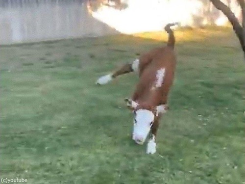 ����ķ�ͤ�ҵ�02