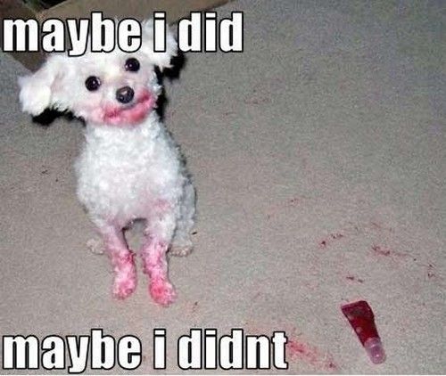 ���⤷�����ä�����09