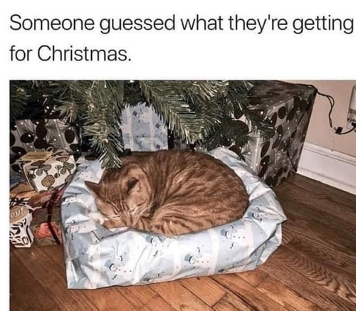 ツリーの下に置いてあったクリスマスプレゼントの中身がわかった01