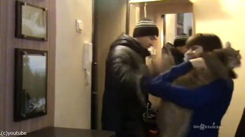 背中に乗ってくる猫07