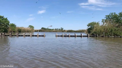 �ܥ֥���åȤβ���ʥ�����01