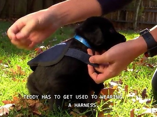 �����ӥ����λҸ�01