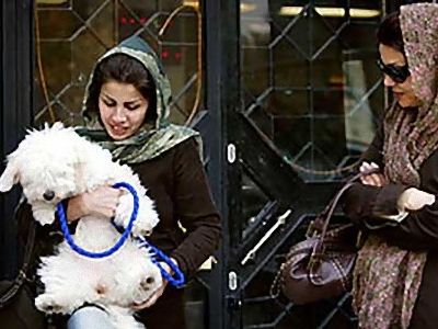 �����θ�