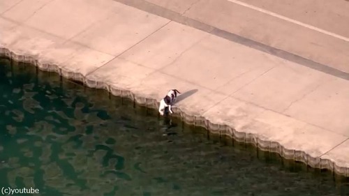 �ٴ�������߽�01