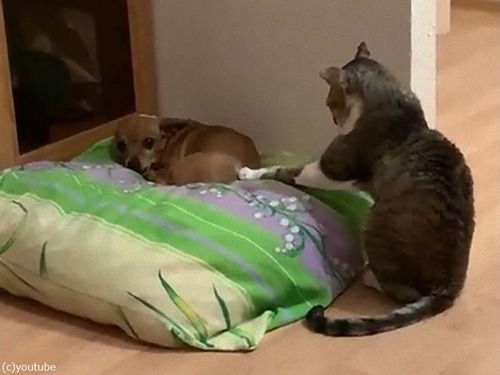 �������ɤ��ˤʤꤿ��ǭ03