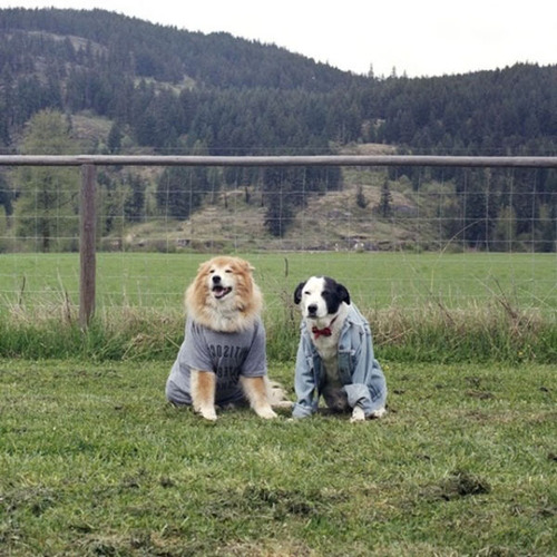 男女の服を交換29