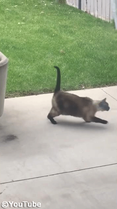 ǭ�Τ��äݤ����ˤʤäƻ������ʤ���������05