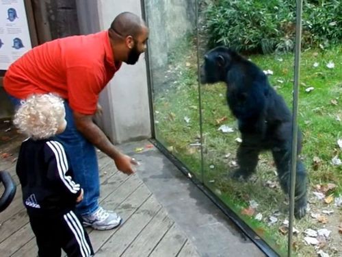 �����٤����ѥ󥸡�01