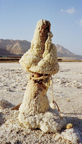 死海の塩の結晶06