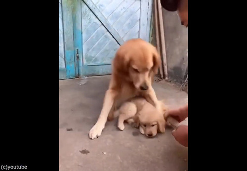 ���ݸ�ʸ�03