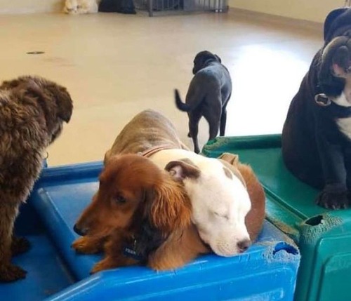 ¾�θ���ޤ���ˤ���Ҹ�02