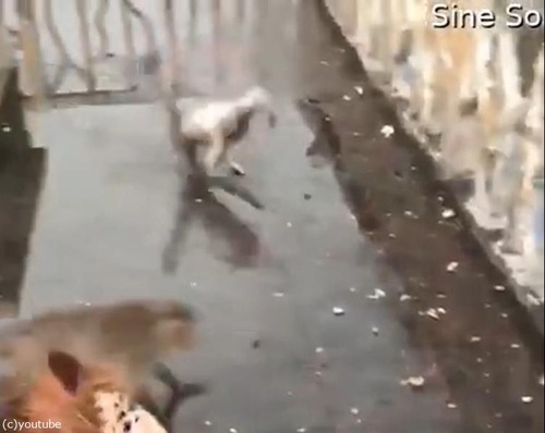 �����夿�ޤ�Ǥ��٤�03