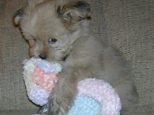 ưʪ�����Τ�����ʤ���00