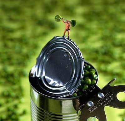 ����ʪ������¤�������ߥ˥��奢������09