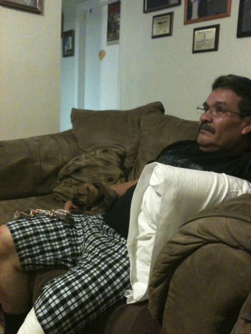 「父さんの反対を押し切って犬を飼うことにした」03