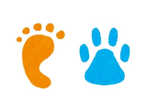 私と犬の足を並べたらサイズが全く一緒だった