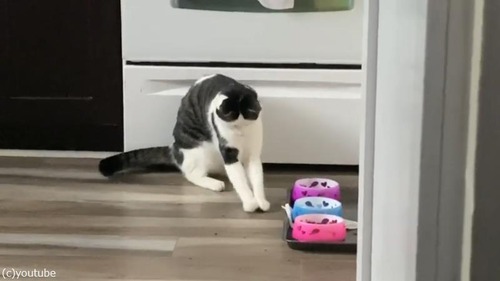 ���饤���ޤߤ����ˤ��Ӥ򿩤٤�ǭ02