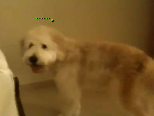 �����פ�˺�줿��01