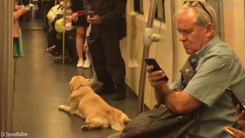 ���������ϲ�Ŵ�ǥ��å���04