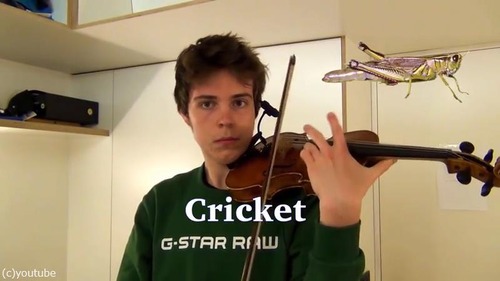 ヴァイオリニストが動物の鳴き声を演奏する05