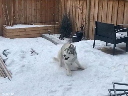 ��ξ�Ǹ��������å�������03