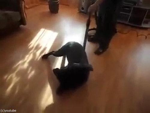 �ݽ�����֤ʸ�05