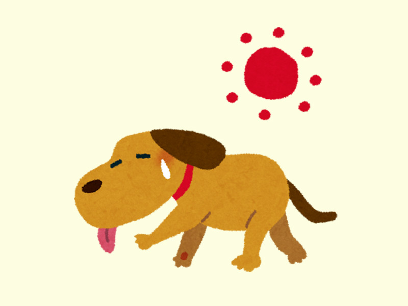 すごい顔になってるよ 犬の変わった涼み方 動画 らばq すごい顔になってるよ 犬の変わった涼み方 動画 らばq