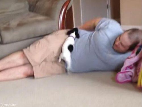 パパと子犬の戦い04