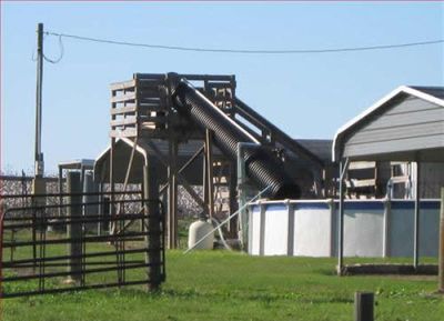 無茶な自家製品06