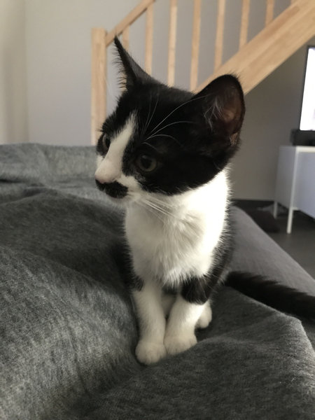 �����ʤҤ��ΤĤ���ǭ02