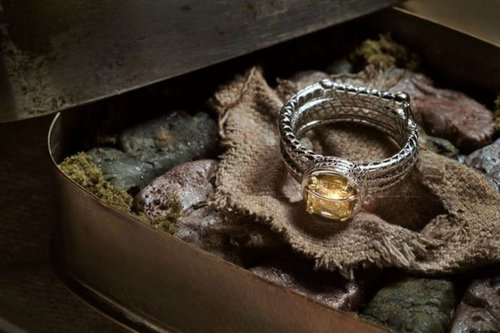 マニアとオタクの結婚指輪15