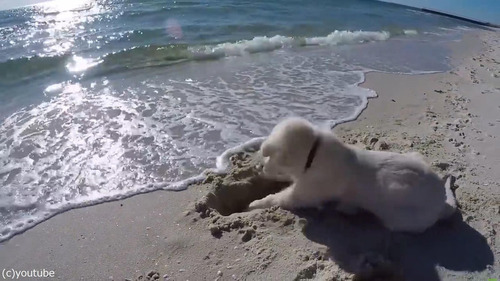 �Ȥ��臘�Ҹ�01