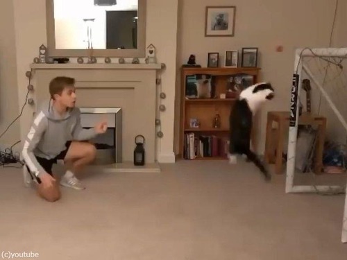 �����ǹ�Υ����륭���ѡ�ǭ01